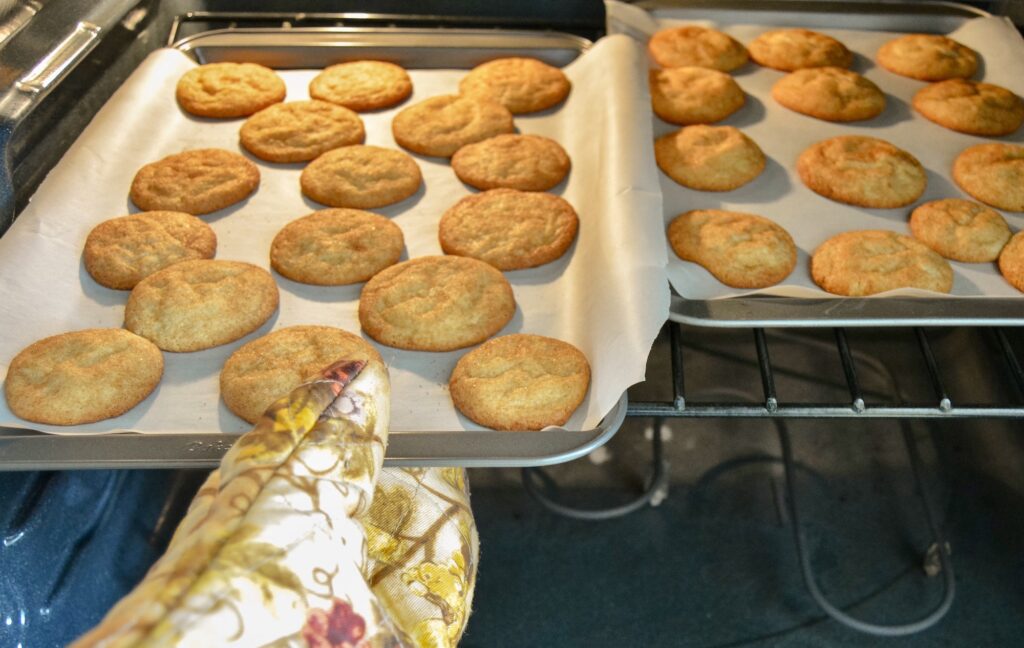 From kitchen oven- fresh backed homemade Snicker doodle cookie